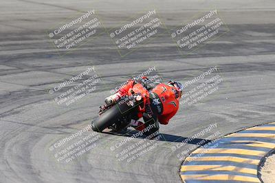 media/Jan-12-2025-CVMA (Sun) [[be1d2b16e3]]/Race 5-Amateur Supersport Open/